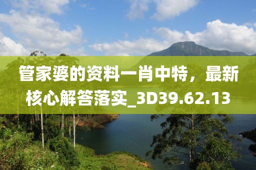 管家婆的资料一肖中特，最新核心解答落实_3D39.62.13