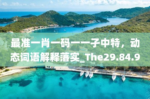 最准一肖一码一一孑中特，动态词语解释落实_The29.84.9