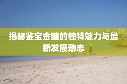 揭秘鉴宝金瞳的独特魅力与最新发展动态