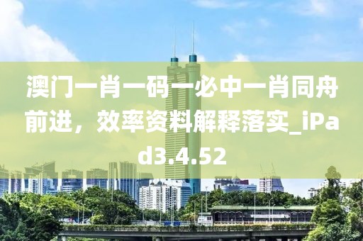 澳门一肖一码一必中一肖同舟前进，效率资料解释落实_iPad3.4.52
