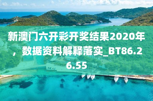 新澳门六开彩开奖结果2020年，数据资料解释落实_BT86.26.55