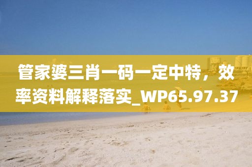 管家婆三肖一码一定中特，效率资料解释落实_WP65.97.37