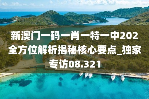 新澳门一码一肖一特一中202全方位解析揭秘核心要点_独家专访08.321