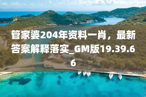 管家婆204年资料一肖，最新答案解释落实_GM版19.39.66