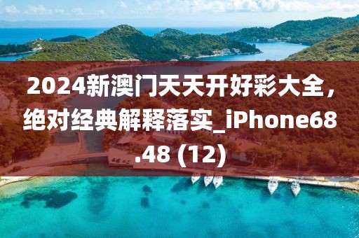 2024新澳门天天开好彩大全，绝对经典解释落实_iPhone68.48 (12)