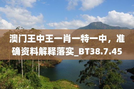 澳门王中王一肖一特一中，准确资料解释落实_BT38.7.45