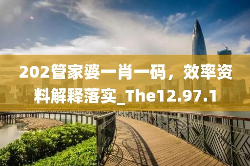 202管家婆一肖一码，效率资料解释落实_The12.97.1