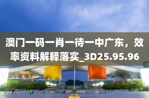 澳门一码一肖一待一中广东，效率资料解释落实_3D25.95.96