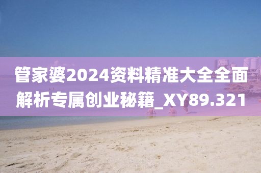 管家婆2024资料精准大全全面解析专属创业秘籍_XY89.321