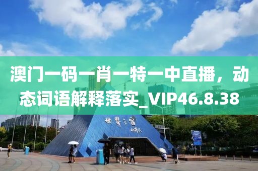 澳门一码一肖一特一中直播，动态词语解释落实_VIP46.8.38