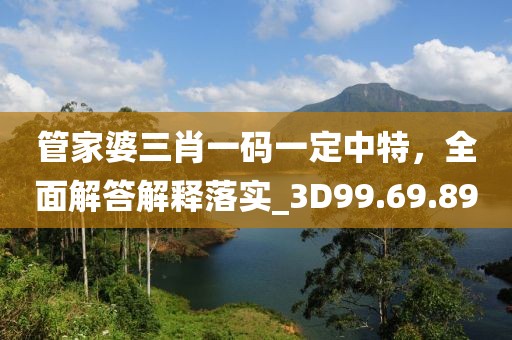 管家婆三肖一码一定中特，全面解答解释落实_3D99.69.89