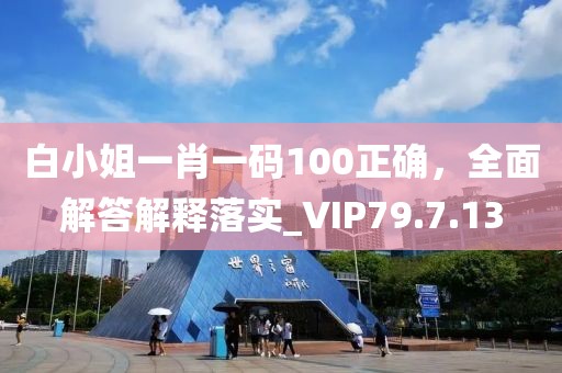 白小姐一肖一码100正确，全面解答解释落实_VIP79.7.13