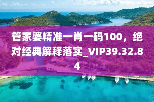 管家婆精准一肖一码100，绝对经典解释落实_VIP39.32.84