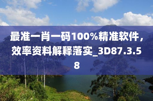 最准一肖一码100%精准软件，效率资料解释落实_3D87.3.58