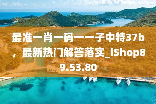 最准一肖一码一一子中特37b，最新热门解答落实_iShop89.53.80
