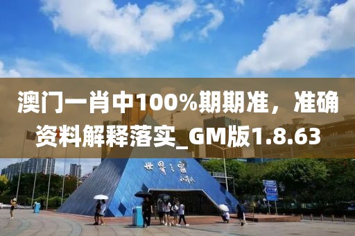 澳门一肖中100%期期准，准确资料解释落实_GM版1.8.63