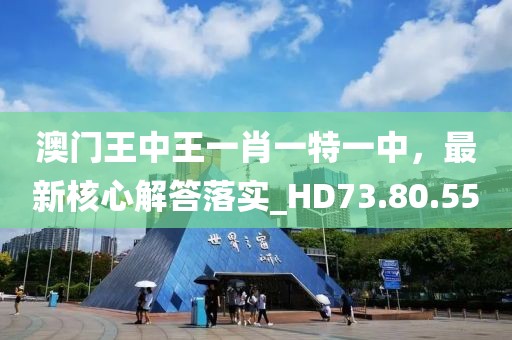 澳门王中王一肖一特一中，最新核心解答落实_HD73.80.55