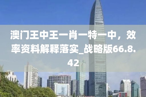 澳门王中王一肖一特一中，效率资料解释落实_战略版66.8.42