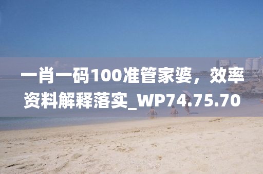 一肖一码100准管家婆，效率资料解释落实_WP74.75.70