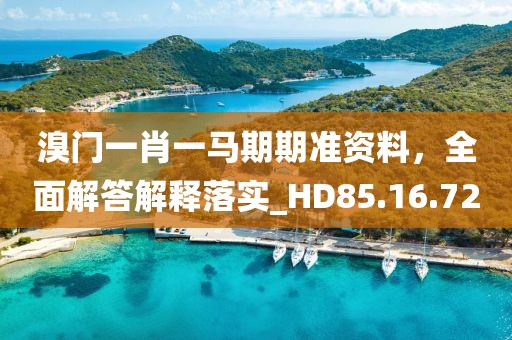 溴门一肖一马期期准资料，全面解答解释落实_HD85.16.72