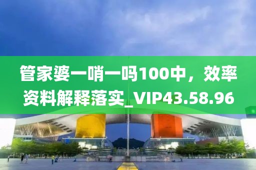 管家婆一哨一吗100中，效率资料解释落实_VIP43.58.96