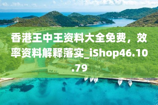 香港王中王资料大全免费，效率资料解释落实_iShop46.10.79