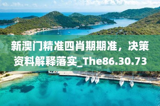 新澳门精准四肖期期准，决策资料解释落实_The86.30.73