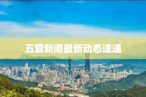 五营新闻最新动态速递