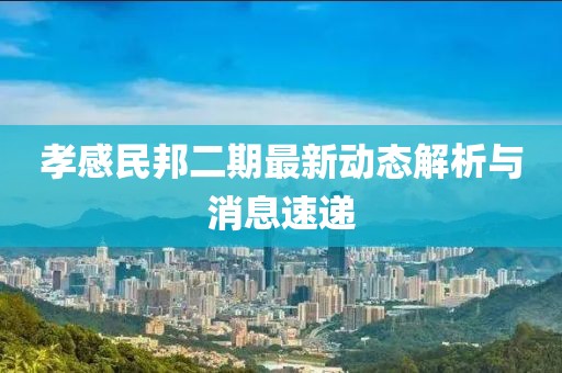 孝感民邦二期最新动态解析与消息速递