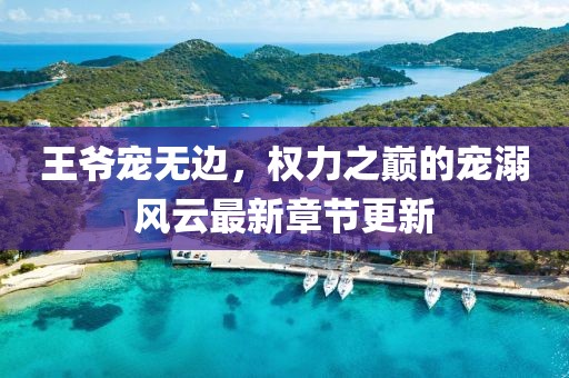 王爷宠无边，权力之巅的宠溺风云最新章节更新