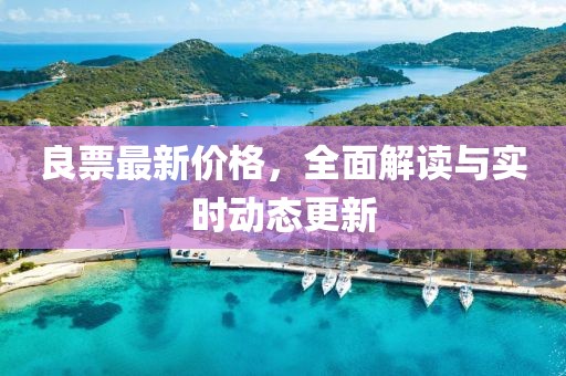 良票最新价格，全面解读与实时动态更新
