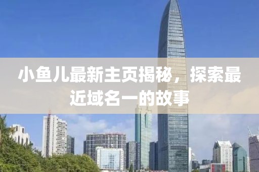 小鱼儿最新主页揭秘，探索最近域名一的故事