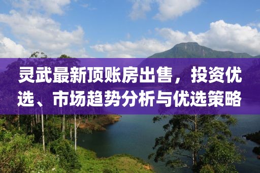 灵武最新顶账房出售，投资优选、市场趋势分析与优选策略