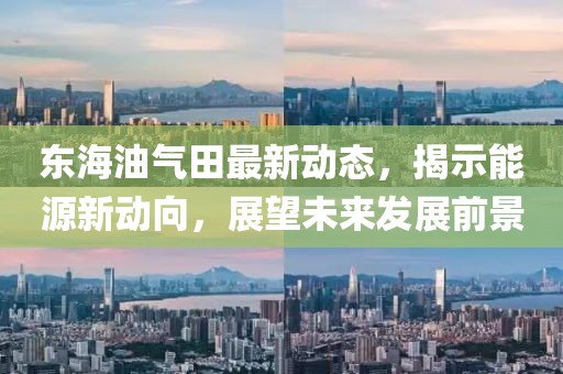 东海油气田最新动态，揭示能源新动向，展望未来发展前景