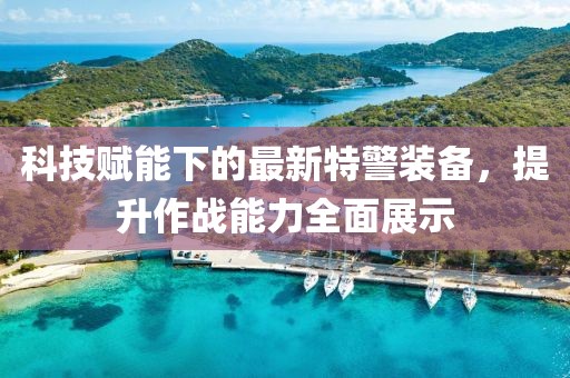 科技赋能下的最新特警装备，提升作战能力全面展示