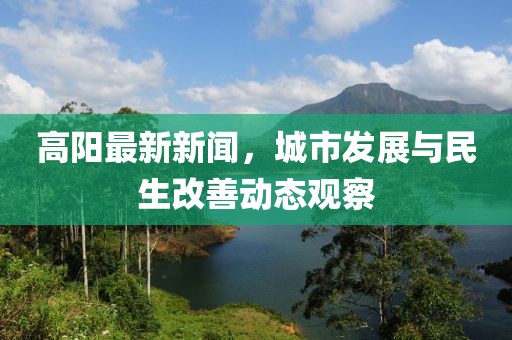 高阳最新新闻，城市发展与民生改善动态观察