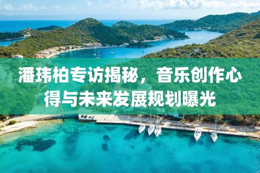 潘玮柏专访揭秘，音乐创作心得与未来发展规划曝光
