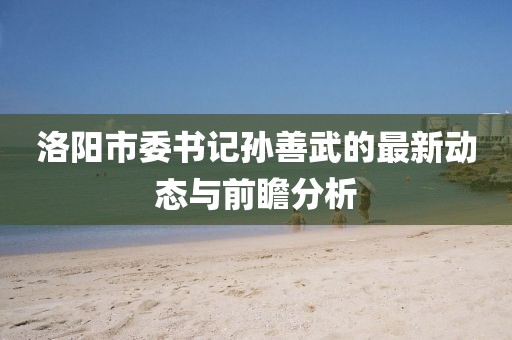 洛阳市委书记孙善武的最新动态与前瞻分析