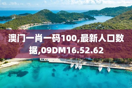 澳门一肖一码100,最新人口数据,09DM16.52.62