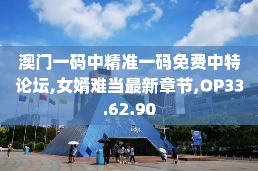 澳门一码中精准一码免费中特论坛,女婿难当最新章节,OP33.62.90