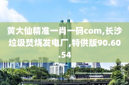 黄大仙精准一肖一码com,长沙垃圾焚烧发电厂,特供版90.60.54