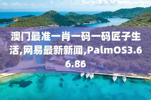 澳门最准一肖一码一码匠子生活,网易最新新闻,PalmOS3.66.86