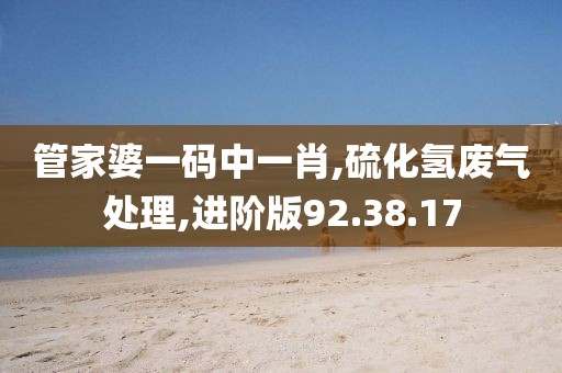 管家婆一码中一肖,硫化氢废气处理,进阶版92.38.17