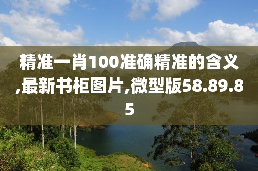 精准一肖100准确精准的含义,最新书柜图片,微型版58.89.85