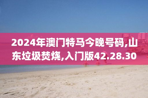 2024年澳门特马今晚号码,山东垃圾焚烧,入门版42.28.30