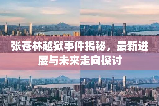 张苍林越狱事件揭秘，最新进展与未来走向探讨