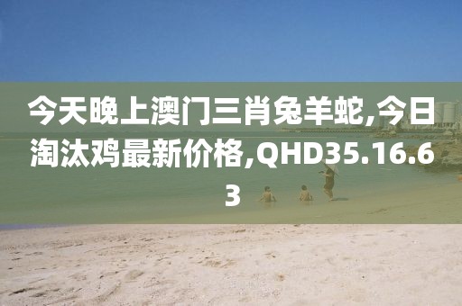 今天晚上澳门三肖兔羊蛇,今日淘汰鸡最新价格,QHD35.16.63