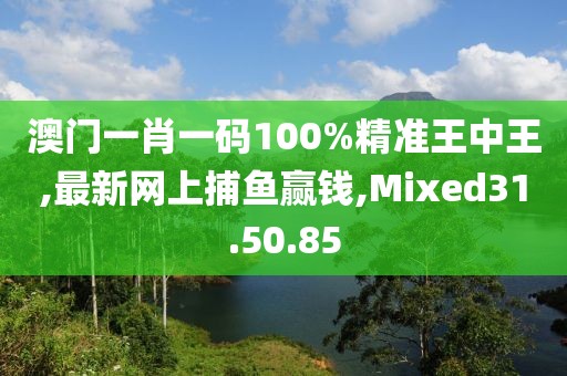 澳门一肖一码100%精准王中王,最新网上捕鱼赢钱,Mixed31.50.85