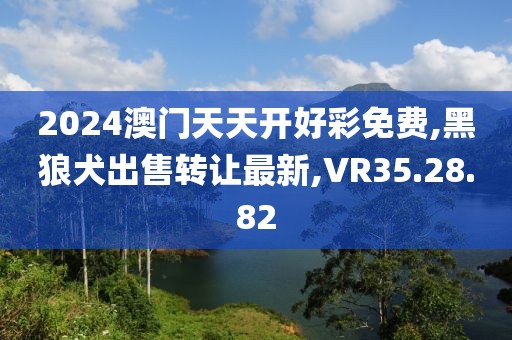 2024年10月 第14页