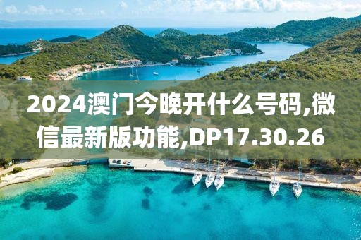 2024澳门今晚开什么号码,微信最新版功能,DP17.30.26